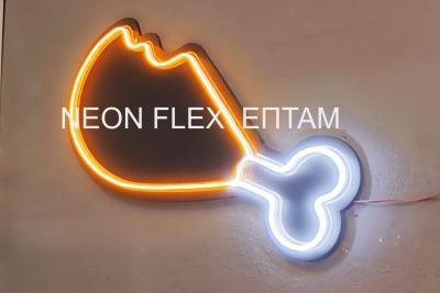 neon flex νέον εύκαμπτο 12v